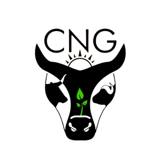 CNG